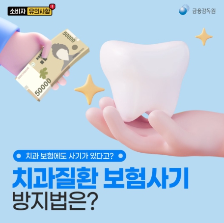 금융감독원