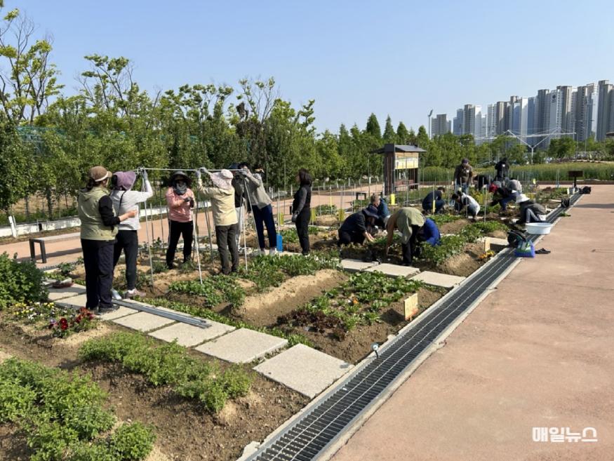 인천시, 하반기 도시농업 전문가 양성과정 교육생 모집 ⓒ 인천시 51.jpg