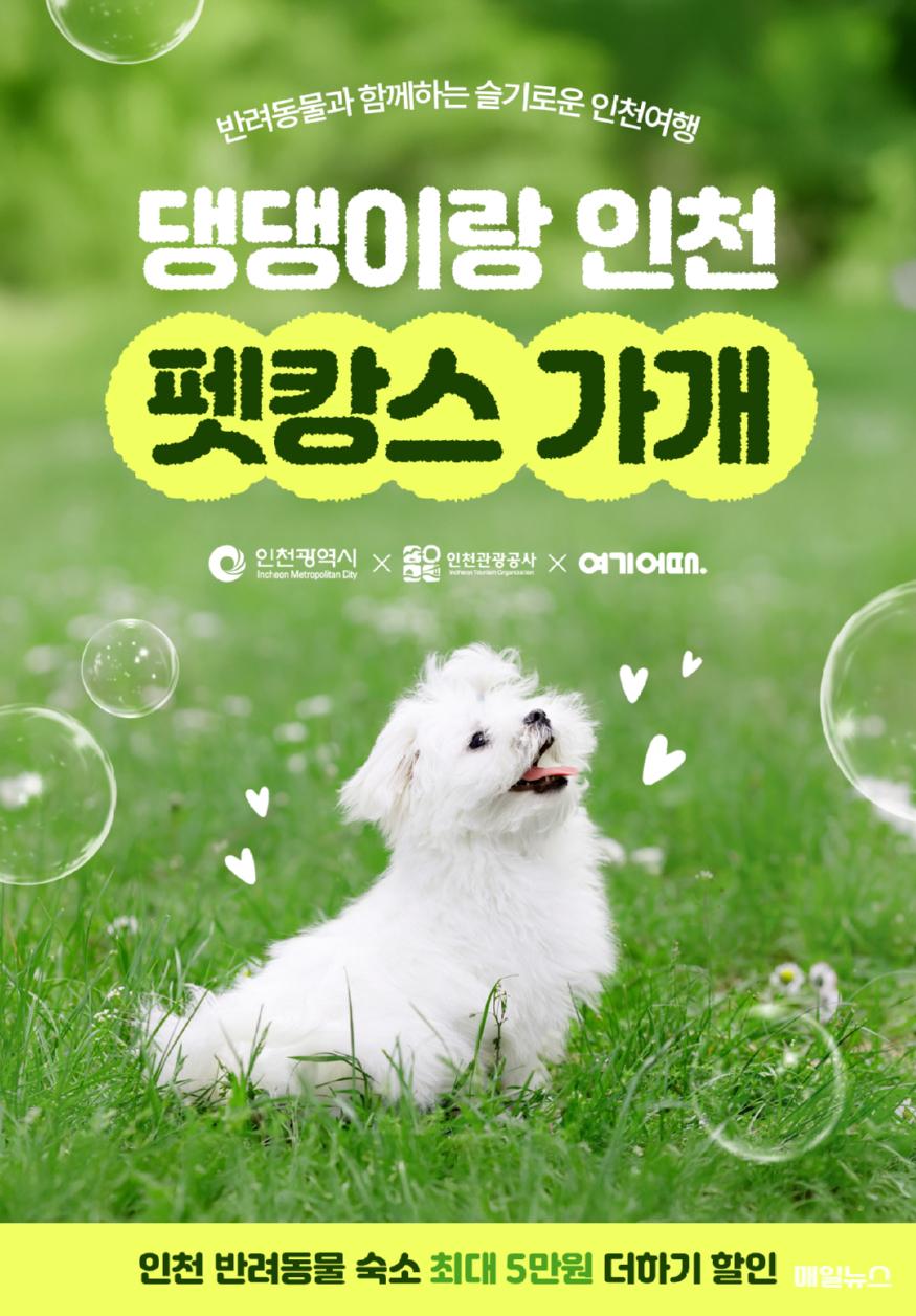 댕댕이랑 인천 펫캉스 가개 '인천 온라인 숙박상품 기획전' 개최 ⓒ 인천관광공사 붙임_댕댕이랑 인천 펫캉스 가개_인천 온라인 숙박상품 기획전 개최0.jpg
