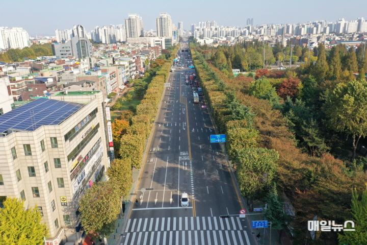 1. 부평구, 길주로 양버즘나무길 등 특화가로 조성사업 완료10.jpg
