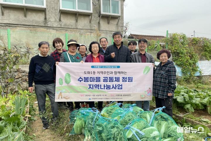 미추홀구, ‘수봉마을 공동체 정원’에서 재배한 배추와 무 도화1동에 기부해 ⓒ 미추홀구 4. 도시재생과0.jpg