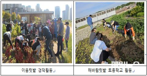 인천시, 2024년도 도시텃밭사업 한해 마무리 ⓒ 인천시 스크린샷 2024-12-30 08500201.jpg