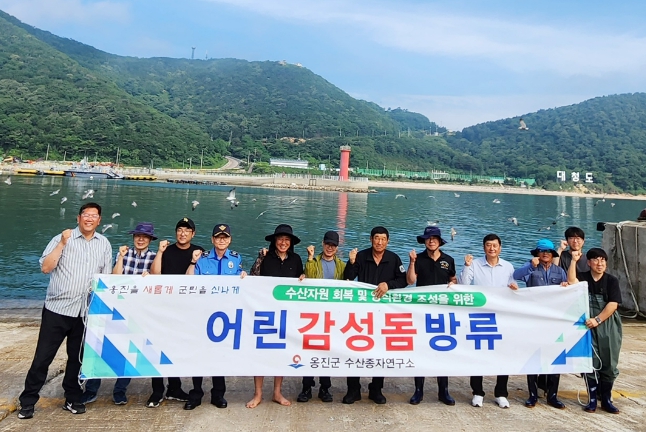 옹진군 수산종자연구소 어린 감성돔 30만미 방류