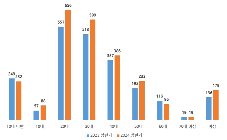2023년~2024년 상반기 재외국민 연령별 이용 현황