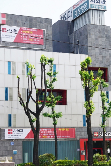 인천 차외과의원, 남동구 취약계층을 위한 후원금 1천만 원 기탁