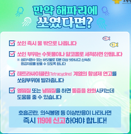 인천 계양소방서, 해파리 쏘임사고 주의 당부