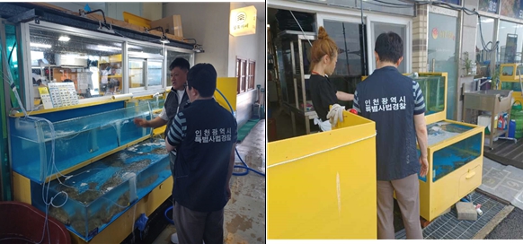 휴가철 수산물 원산지표시 단속 현장 사진
